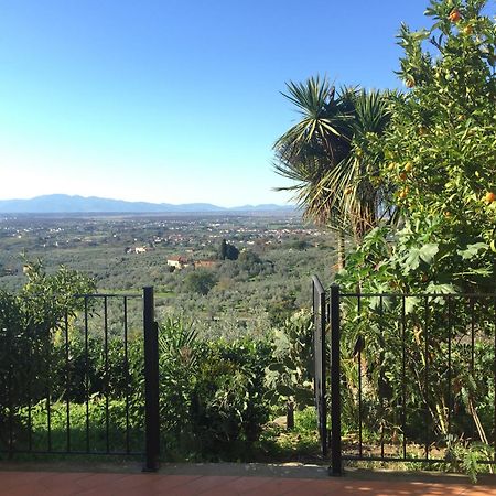 لامبوريتشو Agriturismo Podere Rondinaio المظهر الخارجي الصورة
