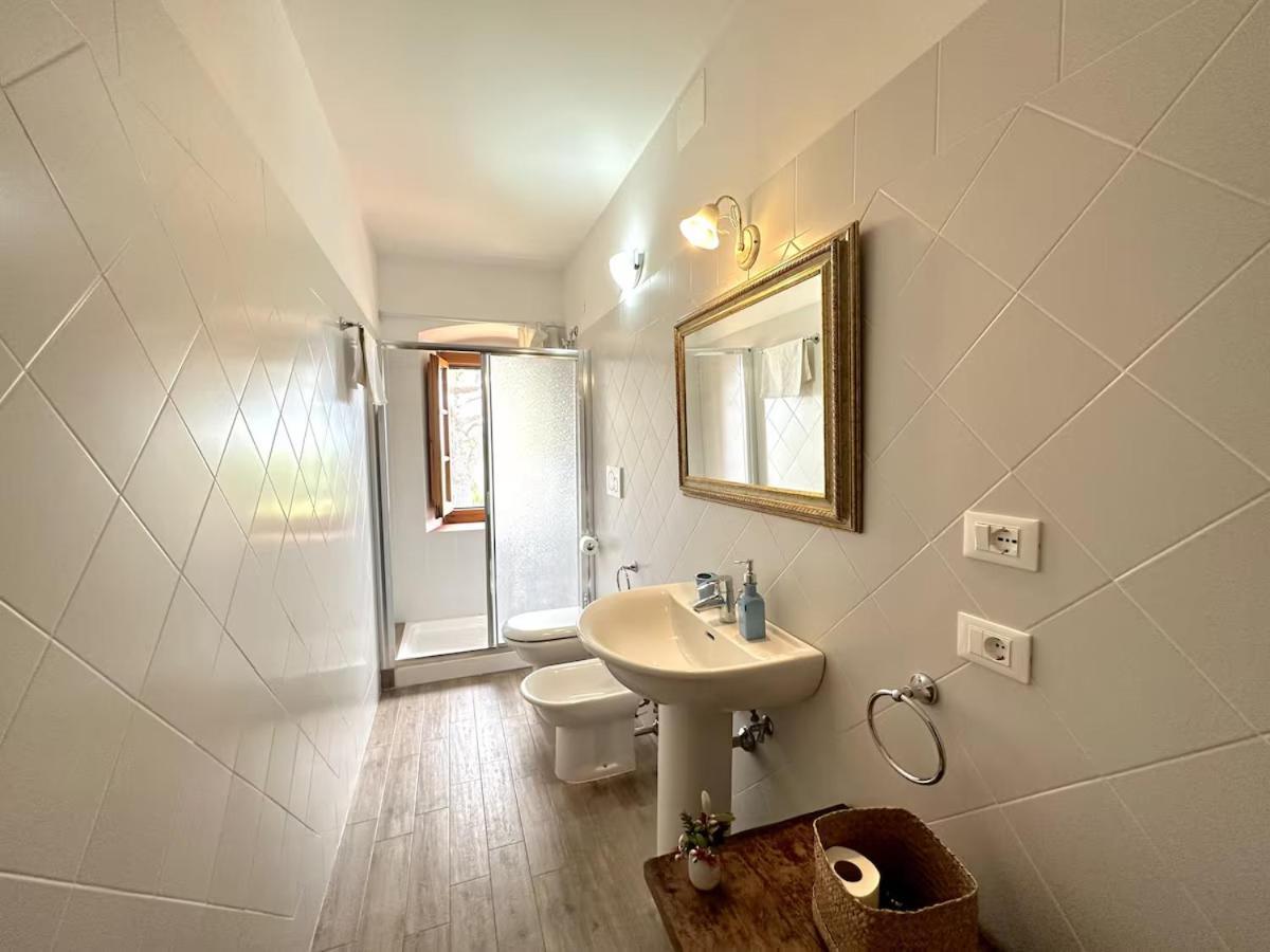 لامبوريتشو Agriturismo Podere Rondinaio المظهر الخارجي الصورة
