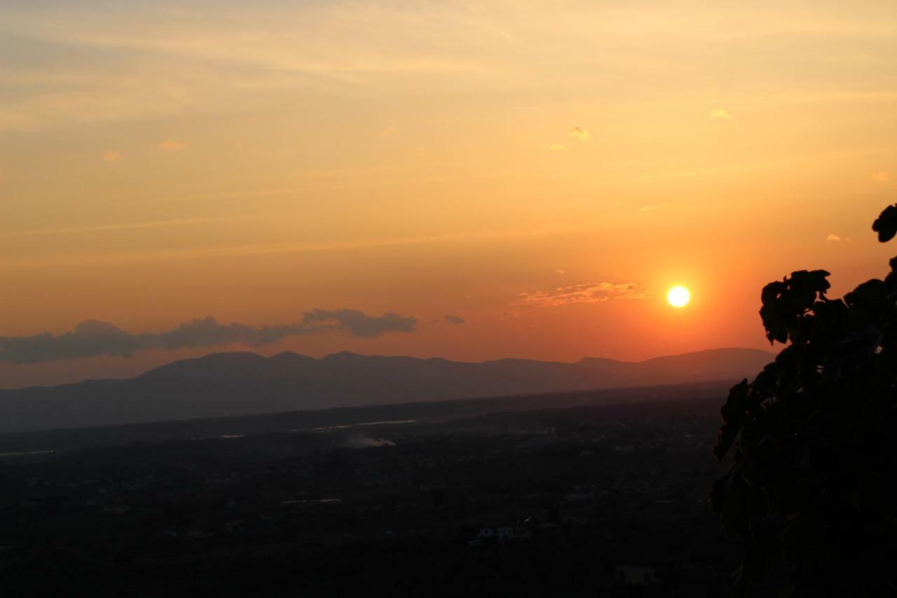 لامبوريتشو Agriturismo Podere Rondinaio المظهر الخارجي الصورة