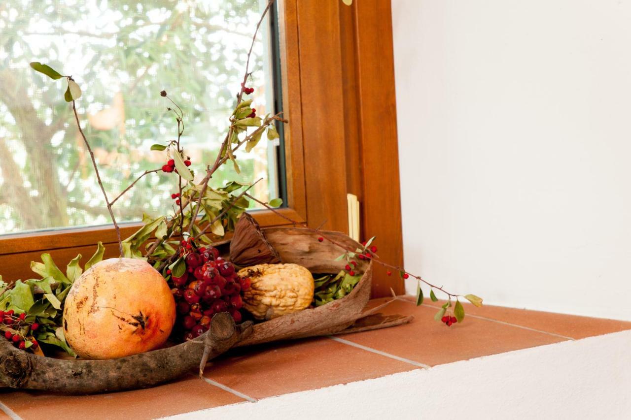 لامبوريتشو Agriturismo Podere Rondinaio المظهر الخارجي الصورة