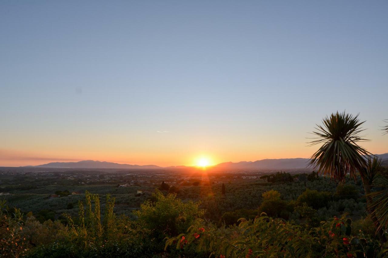 لامبوريتشو Agriturismo Podere Rondinaio المظهر الخارجي الصورة