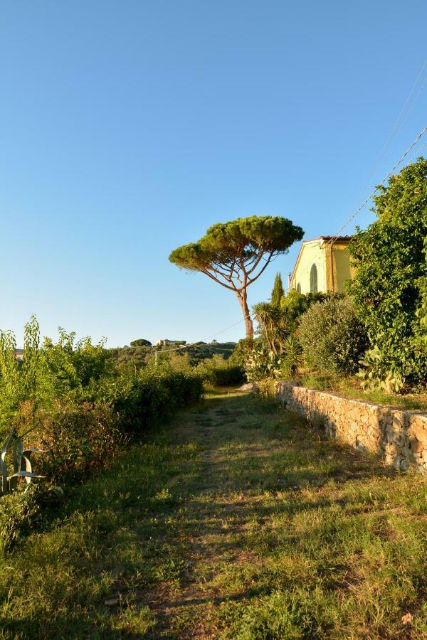 لامبوريتشو Agriturismo Podere Rondinaio المظهر الخارجي الصورة