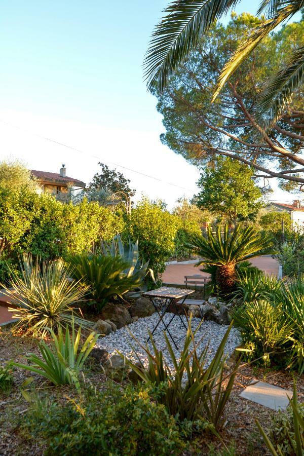 لامبوريتشو Agriturismo Podere Rondinaio المظهر الخارجي الصورة