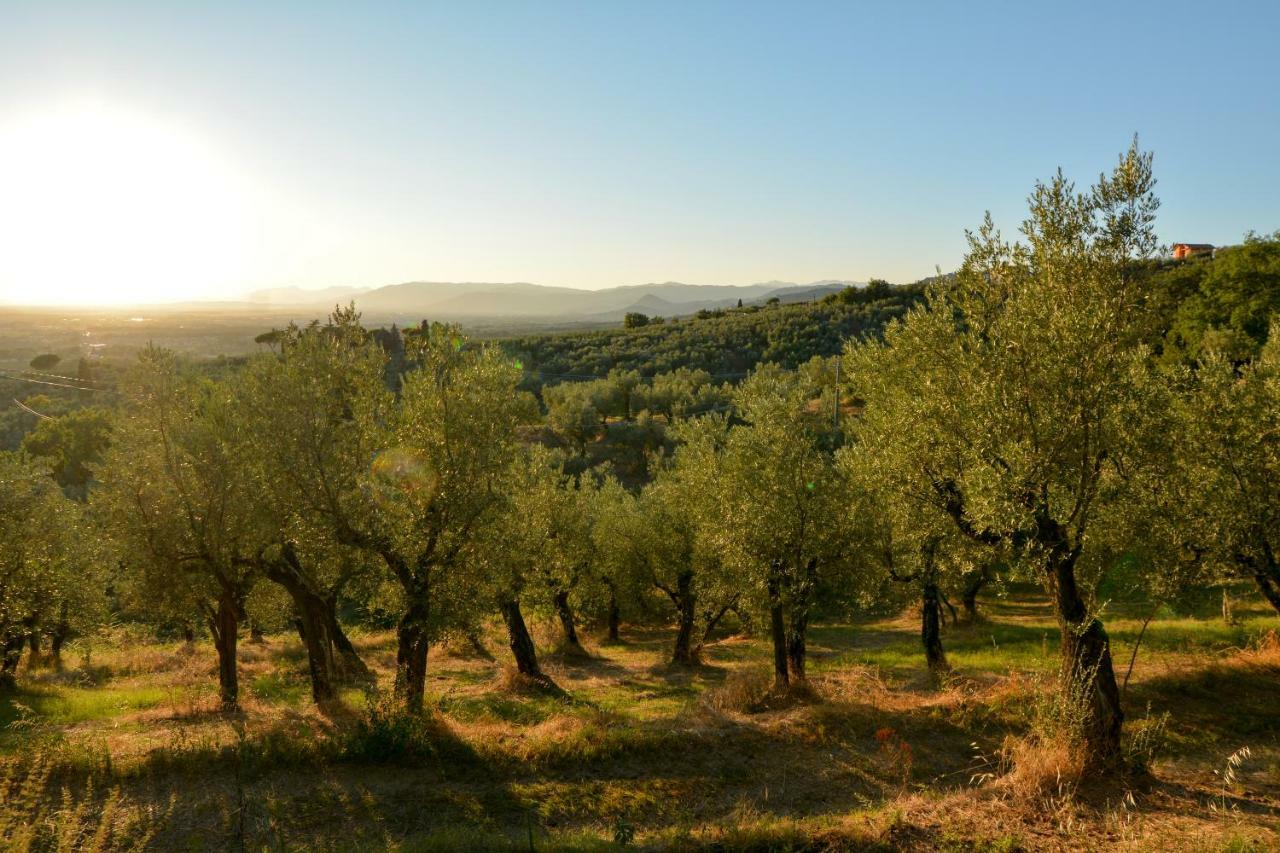لامبوريتشو Agriturismo Podere Rondinaio المظهر الخارجي الصورة